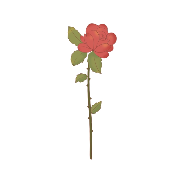 手绘红色的花玫瑰绿叶