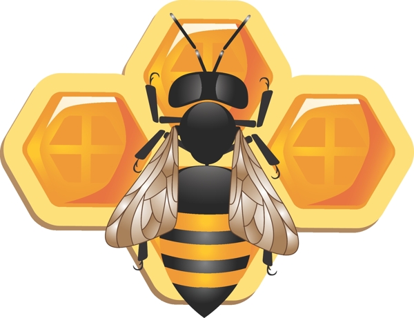 详细的三维蜜蜂蜂巢图标