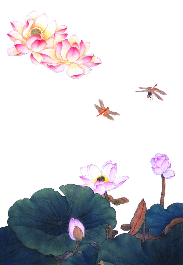 花卉画谱图片