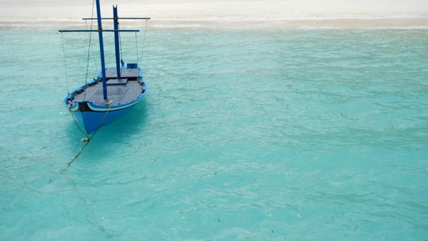 典型的马尔代夫船在蓝色的海洋