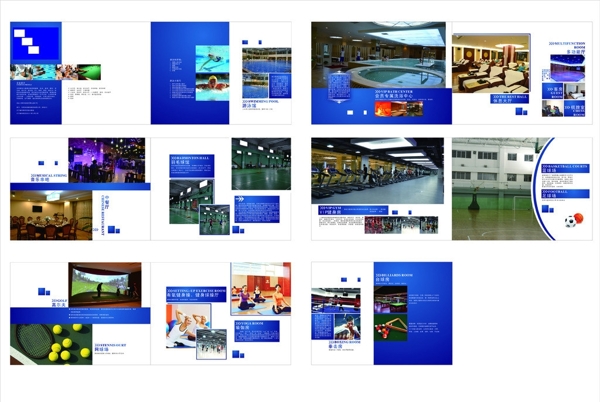 运动会馆宣传册图片