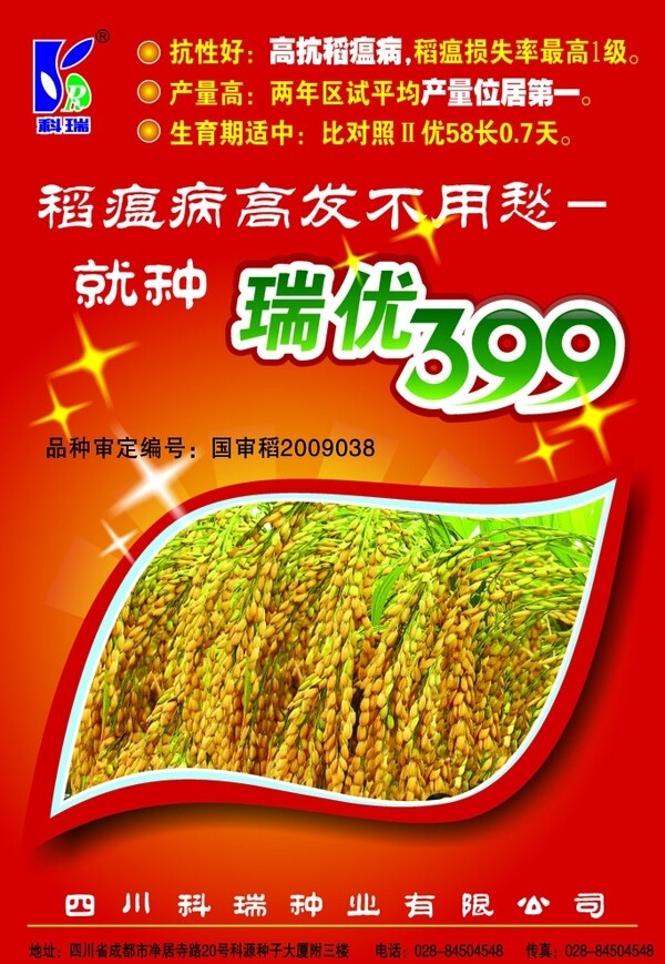 水稻种子瑞优399图片