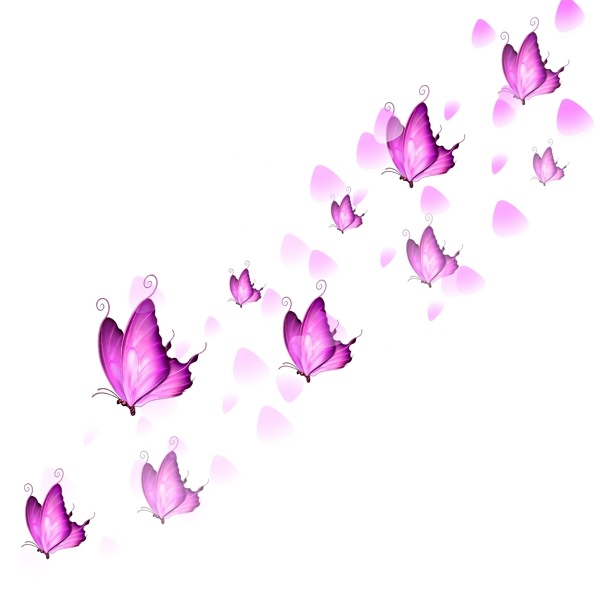 漂浮的蝴蝶之漫天飞舞的粉色蝴蝶玫瑰花瓣