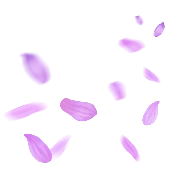 漂浮的花瓣粉紫色菊花花瓣飘落的菊花花瓣