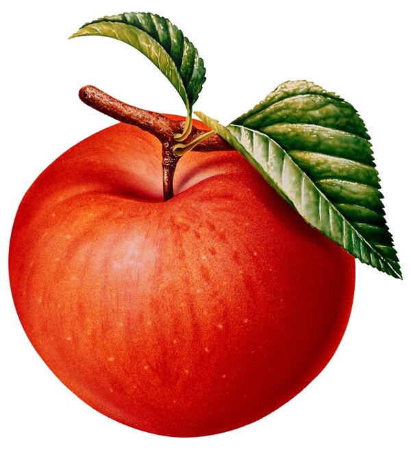 PSD水果苹果抠图格式