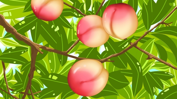 桃树树枝上的红色桃子卡通背景