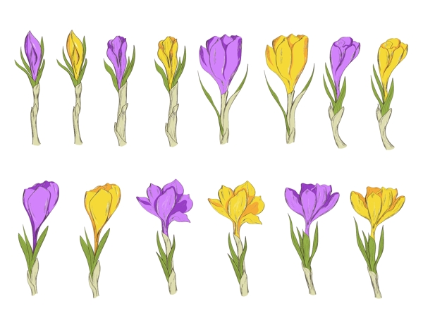 手绘黄紫色花朵矢量素材