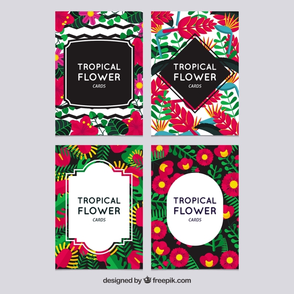 热带花卉彩色卡片