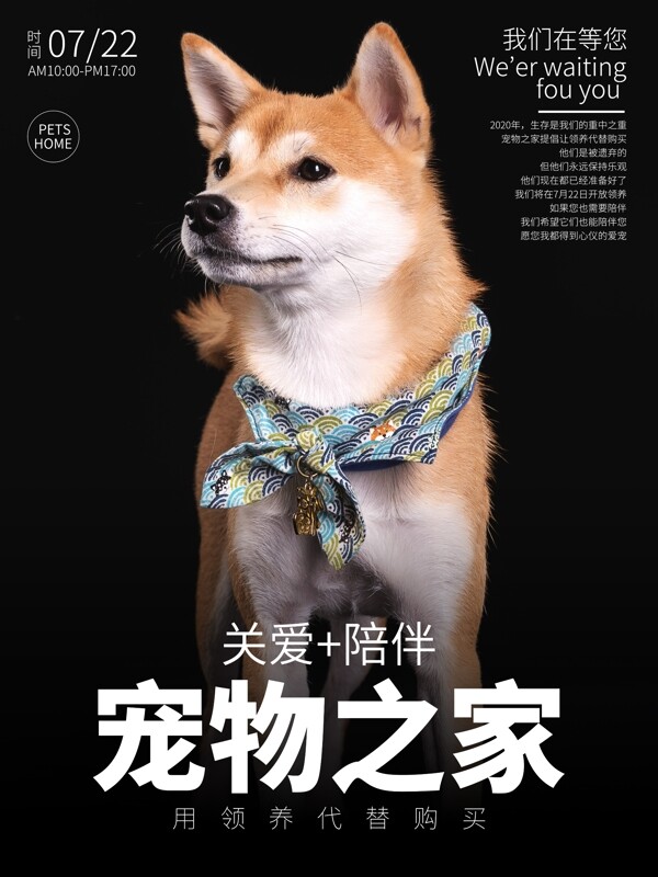 关爱宠物社会公益宣传海报素材图片