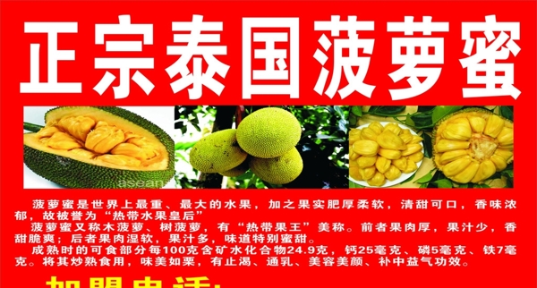 菠萝蜜海报