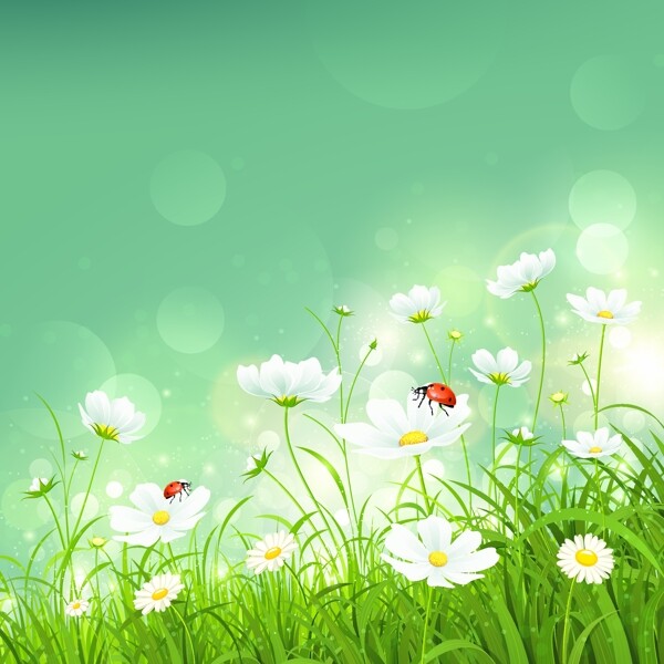 绿色花草背景图片