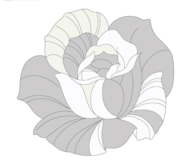 手绘线描效果玫瑰花psd分层素材5图片
