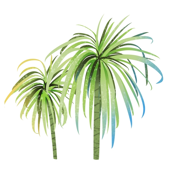 大树热带植物
