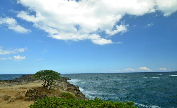 夏威夷海岸风景