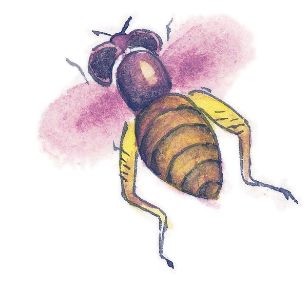 水墨风格的蜜蜂图片