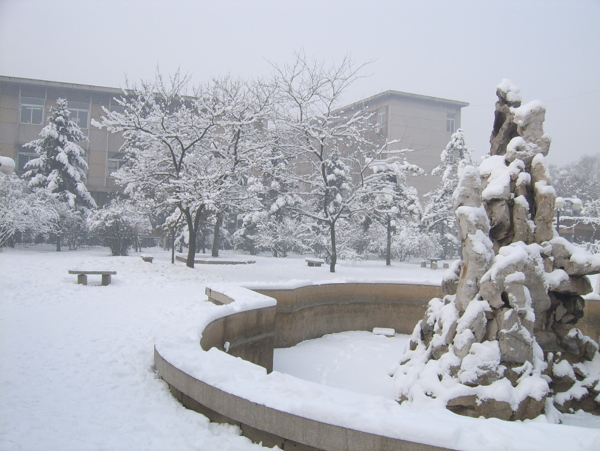 雪景