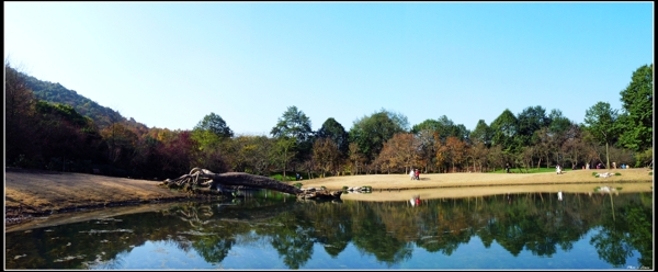 杭州太子湾公园