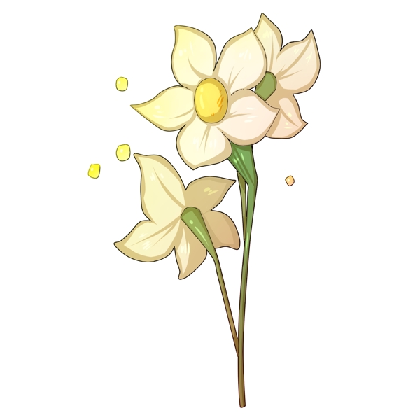 手绘水仙花朵插画可商用元素