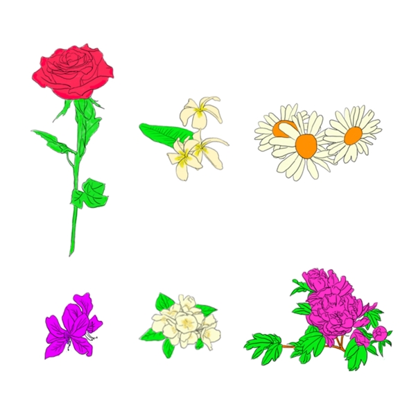 手绘6种花卉素材