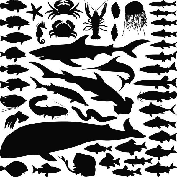 海洋生物鱼类剪影