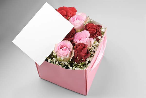 礼盒里的玫瑰花图片