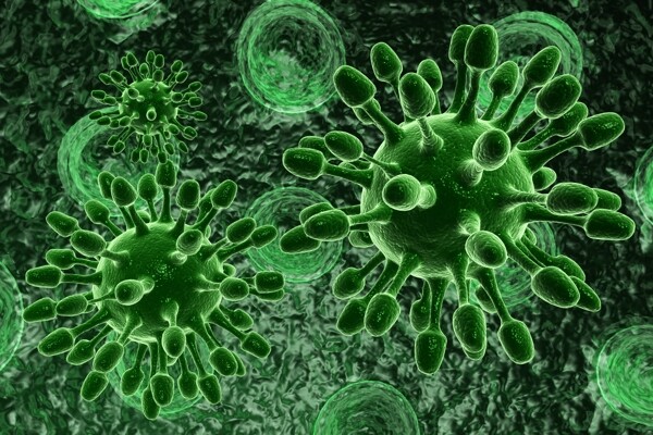 绿色生物细菌图片