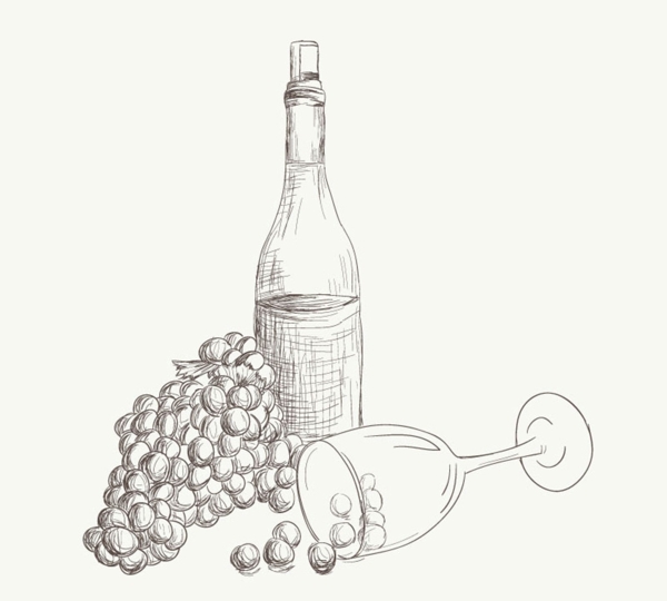 手绘葡萄酒与葡萄矢量素材
