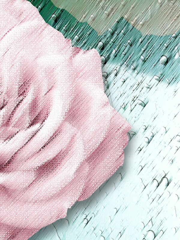 简约粉色绽放花朵客厅装饰画