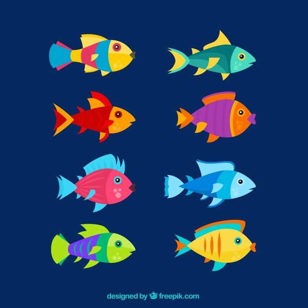 8款创意彩色鱼类设计矢量