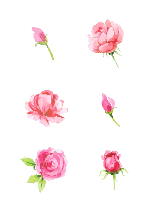 玫瑰花粉色花苞装饰素材设计