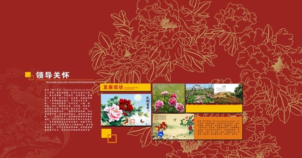 牡丹背景展板花纹艳丽