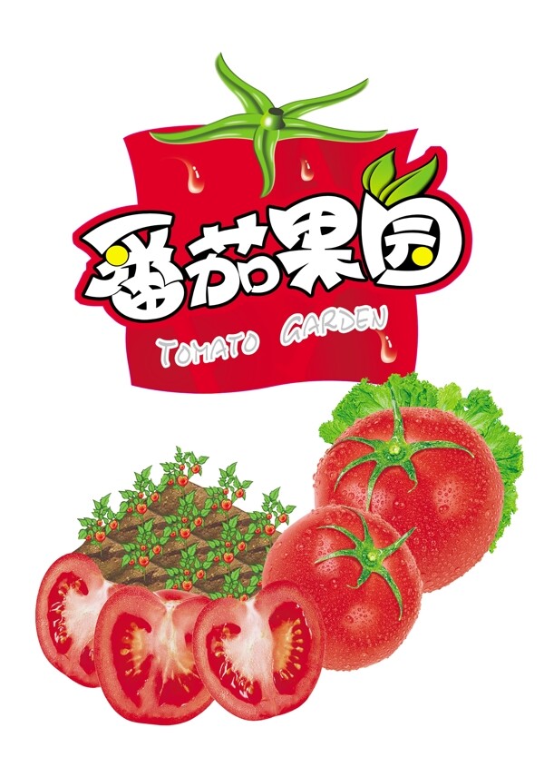 番茄果园图片