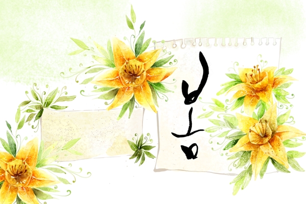 黄色花朵插画