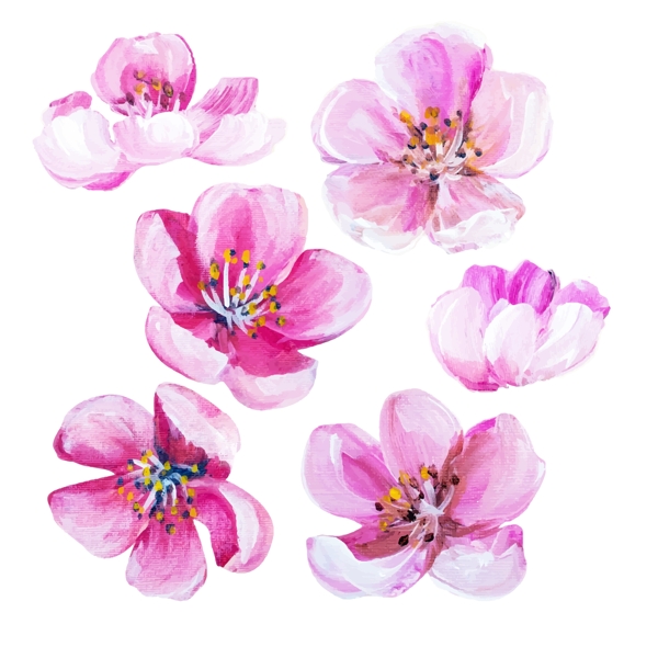 手绘花卉系列