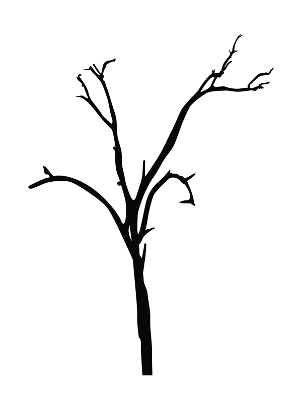死树的形状