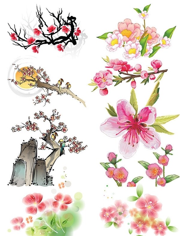 梅花木兰花素材图片