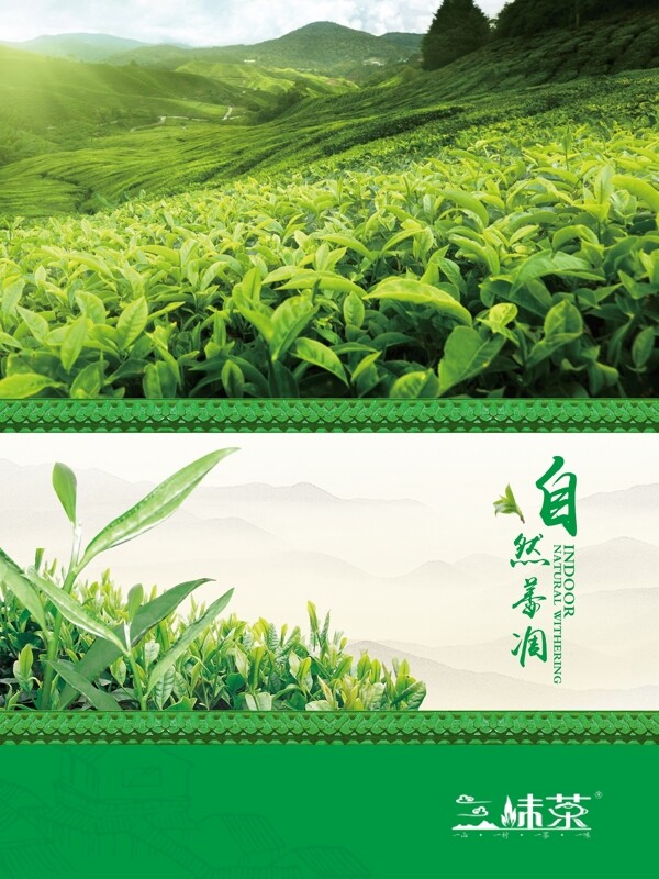 茶文化茶叶绿茶背景
