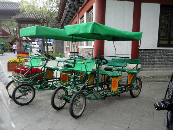 旅游观光绿棚自行车