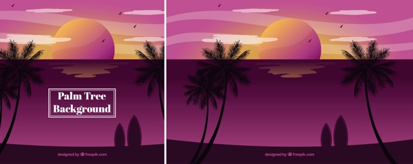 热带棕榈树剪影日落背景