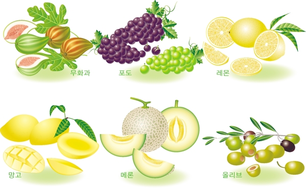 韩国风格精美诱人水果矢量素材上图片