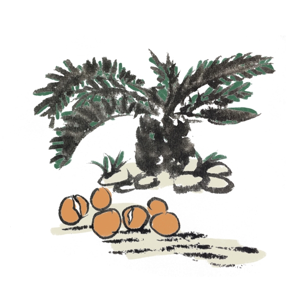椰子树椰子新鲜椰子手绘插画
