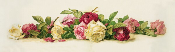 静物花卉玫瑰花图片