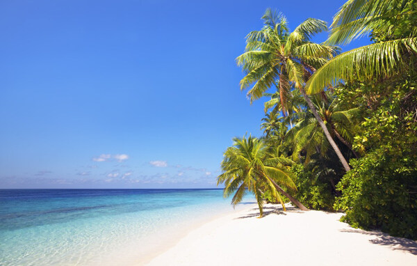 马尔代夫海边风景