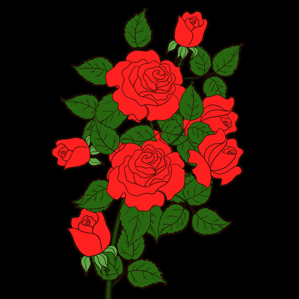 玫瑰牡丹花