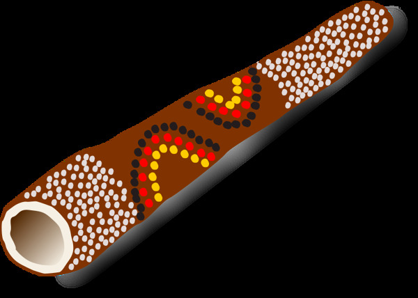 澳大利亚传统乐器迪吉里杜管