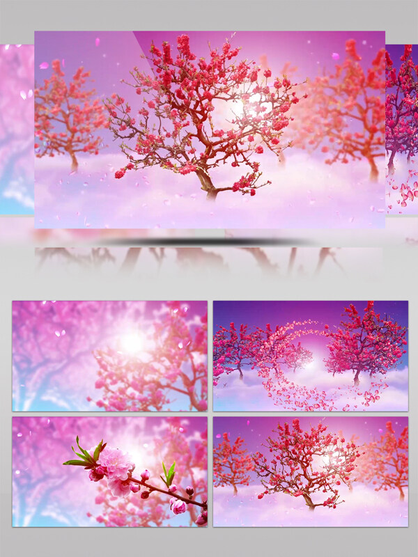 艳丽花瓣飞舞渲染梅花树