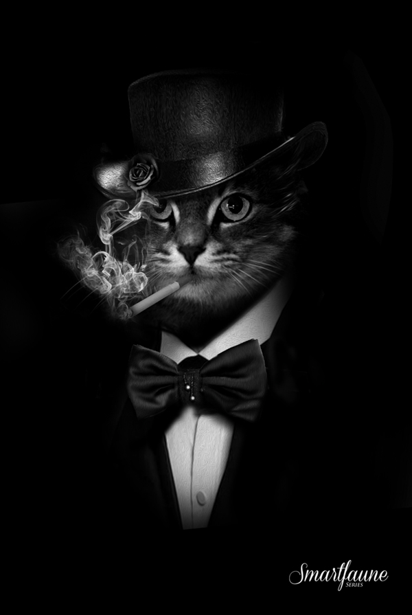 一只吸烟的绅士猫咪