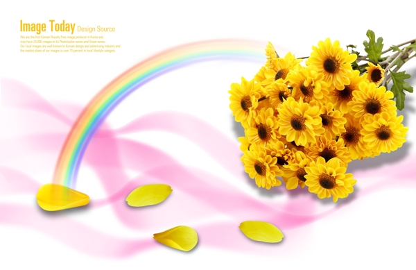 一束鲜花与花瓣彩虹等PSD分层素材