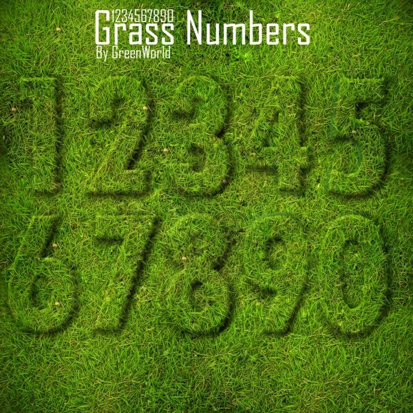 草地数字