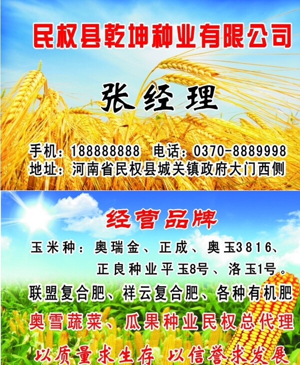 小麦玉米种子名片图片